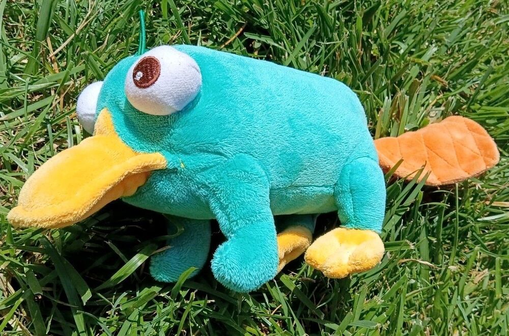 Disney Store Perry The Platypus Bean Bag Plush Phineas & Ferb Agent P EUC